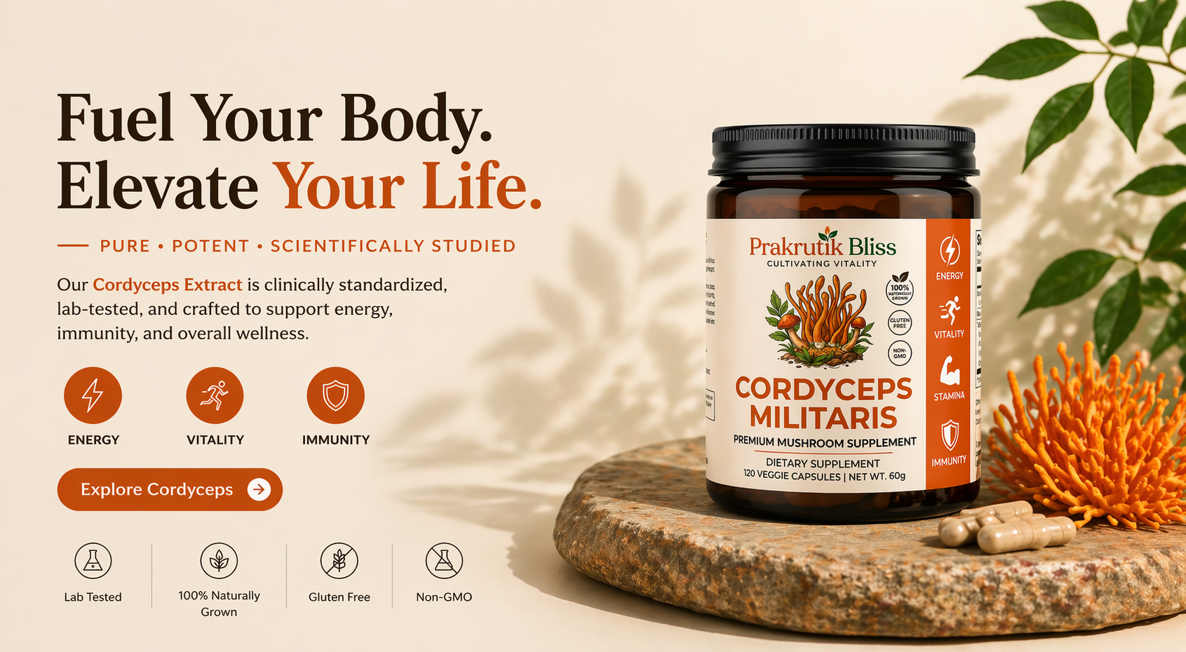 Fuel Your Body. Elevate Your Life. — Cordycep Militaris